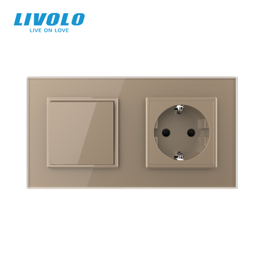 Одноклавішний вимикач з розеткою Livolo
