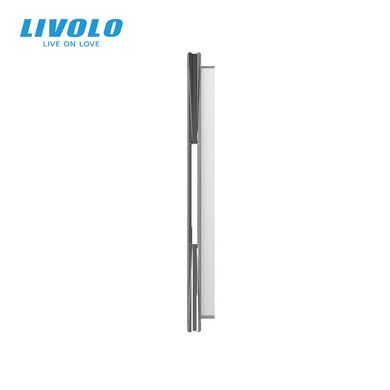 Панель-заготовка для сенсорного выключателя 5 мест Livolo