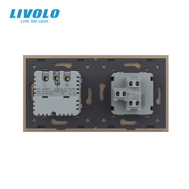 LIVOLO non-latching switch with socket and USB Type-C 18W, gold, glass, with grounding and protective shutters