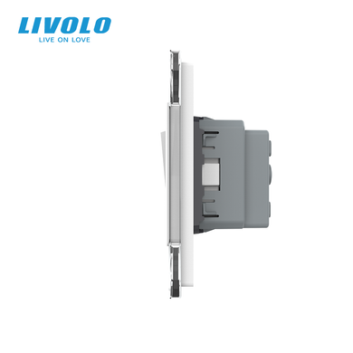Двухклавишный выключатель с розеткой Livolo