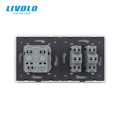 Двухклавишный выключатель с розеткой Livolo