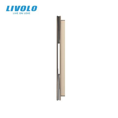 Панель-заготовка для сенсорного вимикача 5 місць Livolo