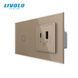 LIVOLO smart touch switch with USB-A + USB-C socket 36W gold glass frame
