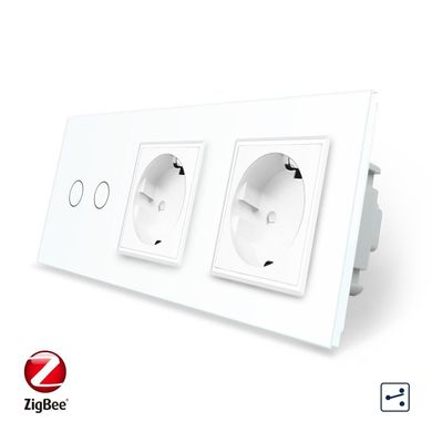 Smart ZigBee touch switch 2 gang 2 way 2 socket Livolo