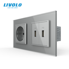 Розетка с заземлением с 2 USB розетками Livolo
