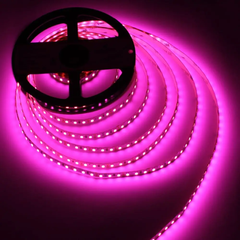 LED стрічка LED-STIL 2835 120 шт, DC 12V, 9,6 W, IP33, рожевий колір світіння