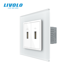 Розетка двойная USB с блоком питания Livolo