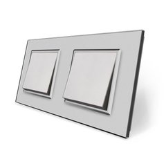 Двухклавишный выключатель (1-1) Livolo серый стекло