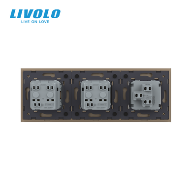 Mechanical switch 1 gang 2 socket Livolo
