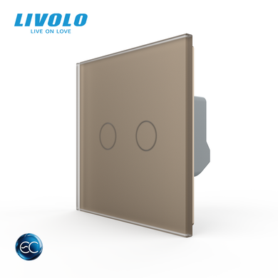 Smart EU touch switch 2 gang Livolo