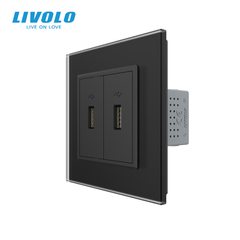 Розетка двойная USB с блоком питания Livolo