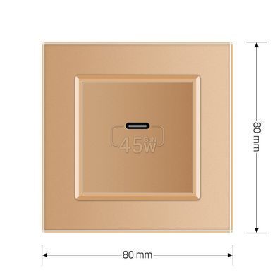 Розетка USB Type-C с Power Delivery 45W Livolo