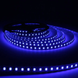LED стрічка LED-STIL 2835 120 шт, DC 12V, 9,6 W, IP33, синій колір світіння