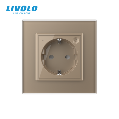 Smart EC socket with grounding LIVOLO gold matte glass