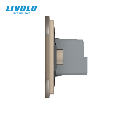 Smart EC socket with grounding LIVOLO gold matte glass