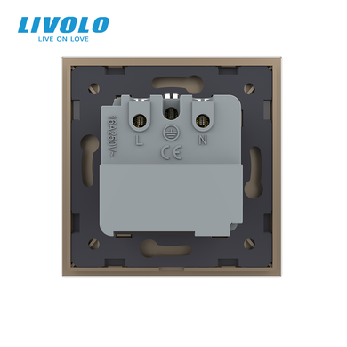 Smart EC socket with grounding LIVOLO gold matte glass