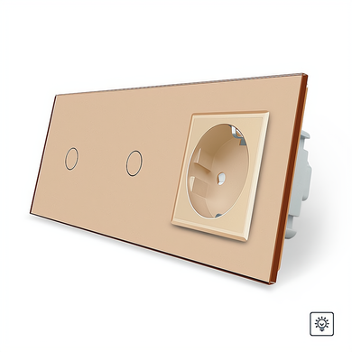 Touch dimmer switch 2 gang 1 socket Livolo