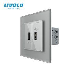Розетка подвійна USB з блоком живлення Livolo