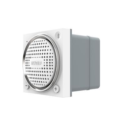 Механізм Bluetooth колонка Livolo